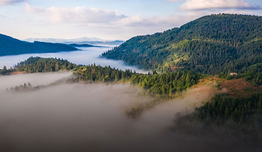 長江股份有限公司